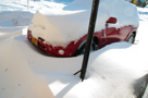 Blizzard 2010 II - February 9 & 10